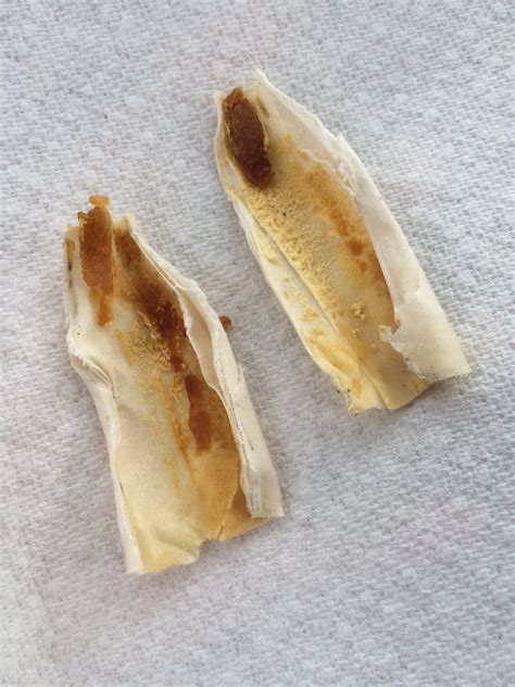 are ear wax candles fake